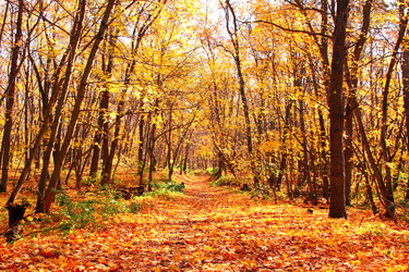 Similar image 2886634