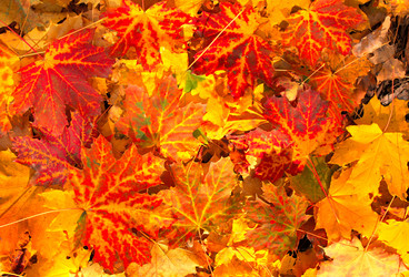 Similar image 2886636