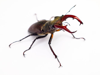 Similar image 2886717