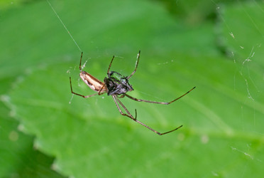 Similar image 2886751