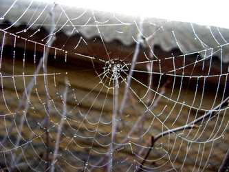 Similar image 2886754