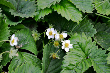 Similar image 2886780