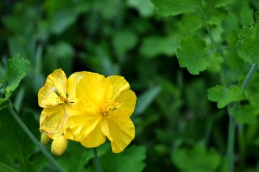 Similar image 2886781