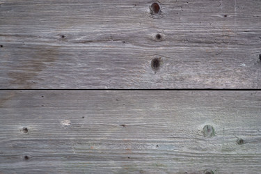 Similar image 2886784