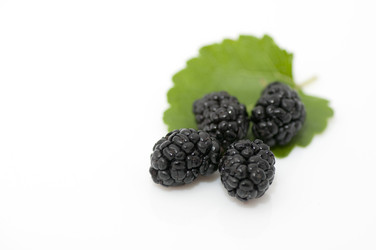 Similar image 2886792