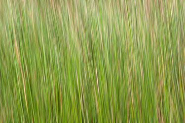 Similar image 2886796