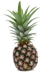 Similar image 2886813