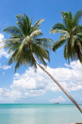 Similar image 2886816