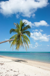 Similar image 2886819