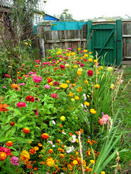 Similar image 2886875