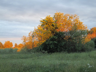 Similar image 2886892