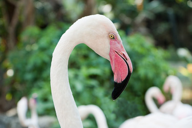 Similar image 2886898