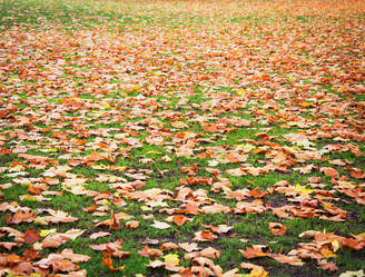 Similar image 2886942