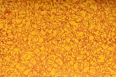 Similar image 2886957