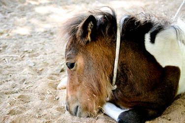 Similar image 2886995