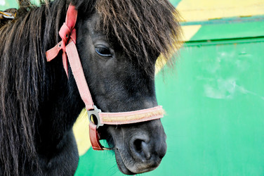 Similar image 2886997