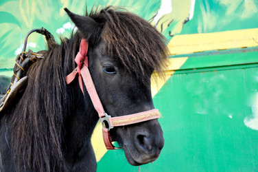 Similar image 2886998