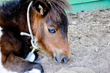 Similar image 2887000