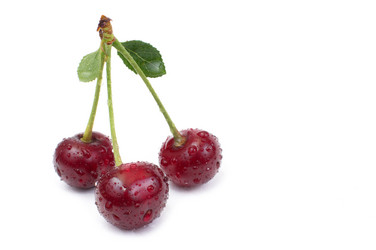 Similar image 2887026