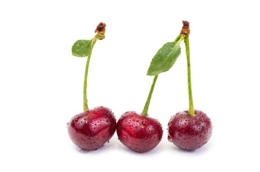 Similar image 2887027