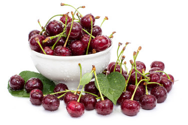 Similar image 2887029