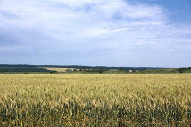 Similar image 2887102