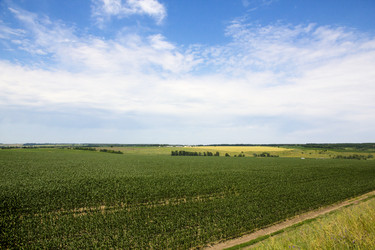 Similar image 2887106