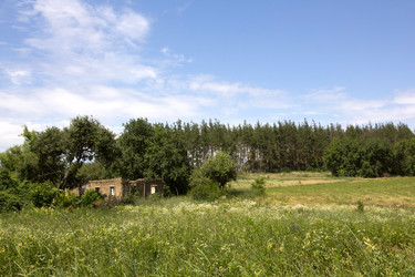 Similar image 2887133