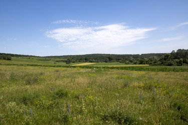 Similar image 2887134