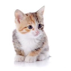 Similar image 2887148