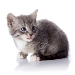 Similar image 2887149