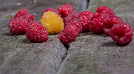 Similar image 2887160