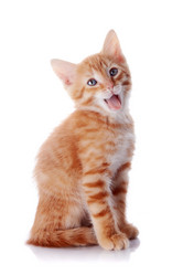 Similar image 2887165