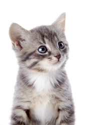 Similar image 2887176