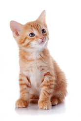 Similar image 2887180