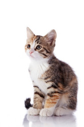 Similar image 2887185