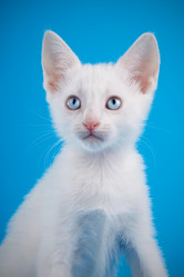 Similar image 2887196