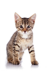 Similar image 2887219