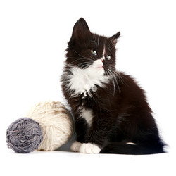 Similar image 2887224