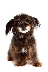 Similar image 2887230