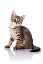 Similar image 2887234