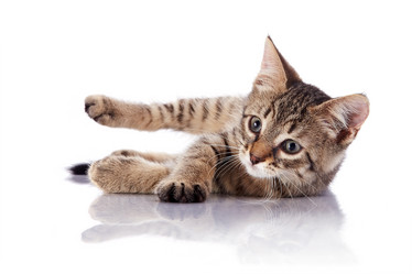 Similar image 2887235