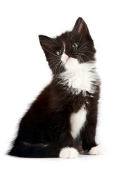 Similar image 2887240