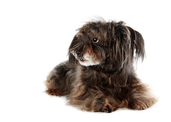 Similar image 2887253