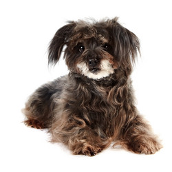 Similar image 2887255