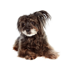 Similar image 2887256