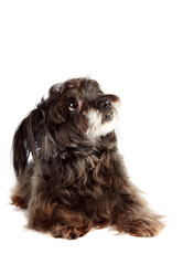 Similar image 2887257