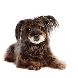 Similar image 2887258