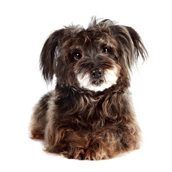 Similar image 2887260