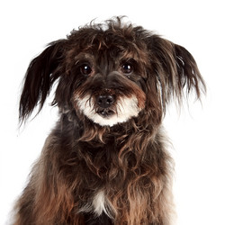 Similar image 2887261